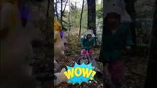 Forest unicorn adventure Pt 3- BraveBug Kids - Inspire Learning, Adventure & Creativity #shorts