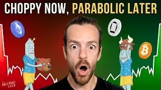 Q4 Volatility Is Noise | The Bull Run Is Just Starting w/ Martin