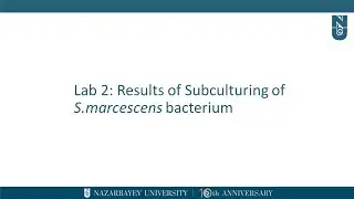 Lab 2. Results of Subculturing of S.marcescens bacteria in slant agar, nutrient broth and agar deep