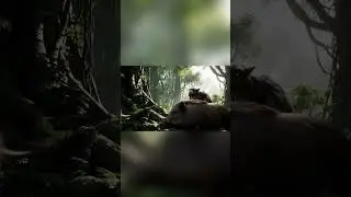 HUGE BIRD 😯 #animals #fight #ai