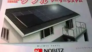 Noritz Double Solar System 3D Poster