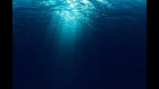 Deep Ocean Echoes Meditation | Relaxing Music | Healing & Stress Relief