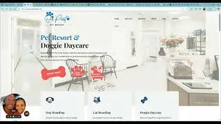 On Point Pet Resort & Doggie Daycare