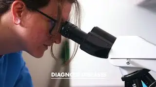 CCBC Histotechnology Program