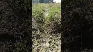 Finally water reach