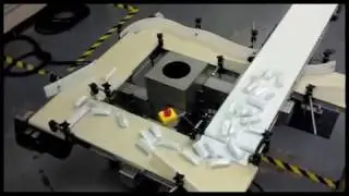 Product - Singulator Conveyor System