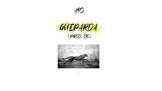 3YO - Gueparda