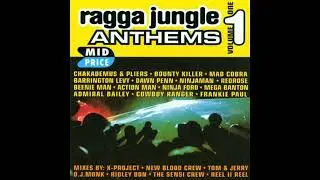 Various - Ragga Jungle Anthems Vol. 1 (1995)