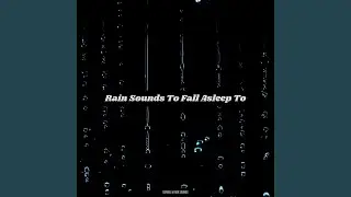 The Early Morning Rain