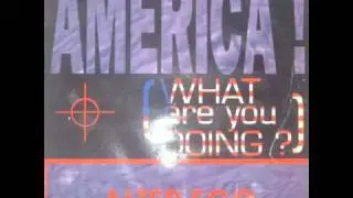 Alter Ego - America! (What Are You Doing)