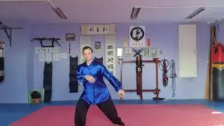 8 efforts of tai chi chuan. 13 Shi at Master Wang Ling School: 8. KAO