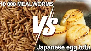 Watching 10 000 Mealworms Dissolve Japanese Tofu is Oddly Satisfying