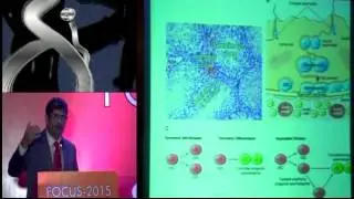 Stem cell approach to preserve and restore male fertility || Krishna IVF #DrRamaRaju#krishnaivf