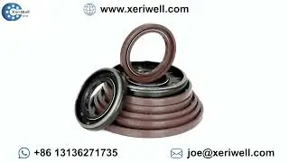 FKM NBR  SC TC Skeleton Oil Seal for Hydraulic Sealing Brown slingle lip Rubber EPDM HNBR Neoprene