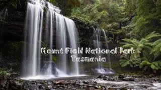 Tasmania | Mount Field National Park | Russell Falls & Horseshoe Falls