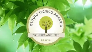 ITA 