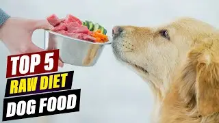 Best Raw Dog Food 2026: Transform Your Dog's Health!