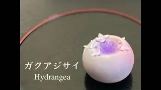 【和菓子職人】「ガクアジサイ」作り方紹介