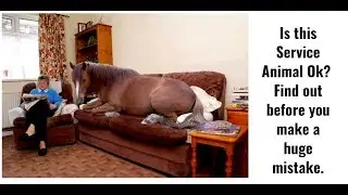 Service Animals & Housing Laws