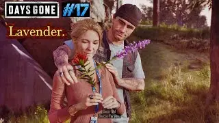 Days Gone #17 - Lavender.