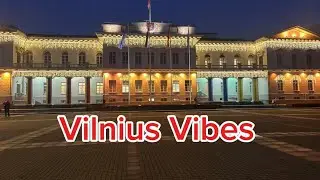 Vibing in Vilnius #vilnius #visitvilnius #lithuania 