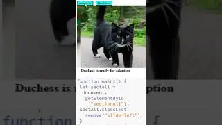 CSS page section transition left