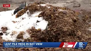 Milwaukee residents concerned over uncollected leaf piles in Bay View