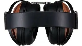 Fostex Premium Open Back Audiophile Headphones Review: Worth the Price for Sound Lovers?