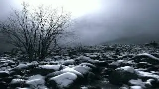 Song Blade - Ложная амброзия (feat. Шелест Крыльев)