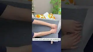 Save Your Furniture from Cat Claws with This Simple Hack!