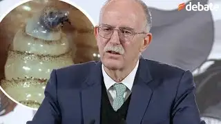 Alerta ganadera 2026: el plan urgente para frenar el gusano barrenador en Tamaulipas y Veracruz