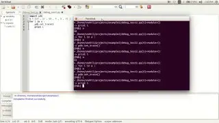 how to debug python code