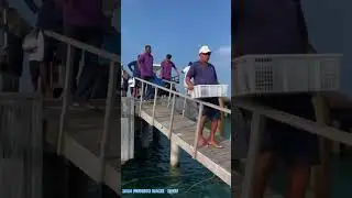 Oh my God fishes #sea #fish #natural #travel #global #india #thamilnadu #indonesia #singapore
