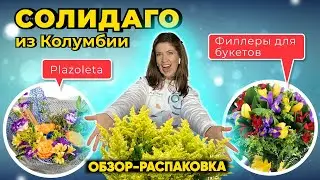 Филлеры из Колумбии | ОБЗОР-РАСПАКОВКА: Солидаго от плантации Plazoleta