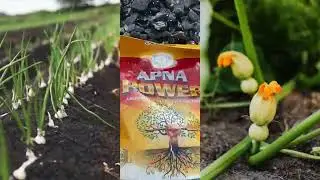 What is apna Power Bio Fertilizer? #farming #safertilizer #apnapower #biofertilizer #organic #you