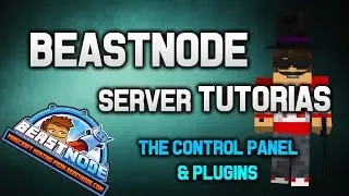Getting Started with a BeastNode Server- Control panel and Plugin Intro