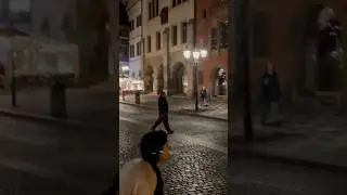 Um do&iacute;do perdido em Praga