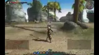 C9 Continent of the Ninth PvP [Shaman lv24 VS Hunter lv24].flv