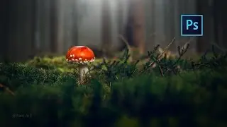 Photoshop cc Tutorial: How to Edit Photo (Macro Photography)