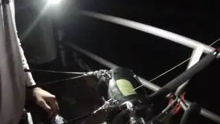 HUGE BULL SHARK DUMPS AVET 80W!!