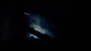 Hollow knight on Steam Deck vs Nintendo Switch 2