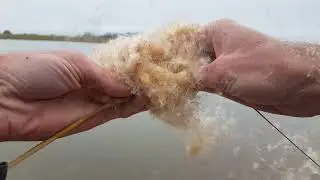 Satisfying video of Cattails with Mike Doran