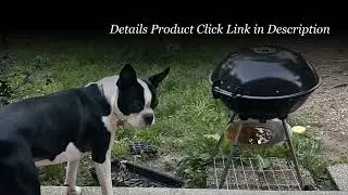 Automatic Dog Ball Launcher: Endless Fetch Fun for Your Pup 🎾🐕