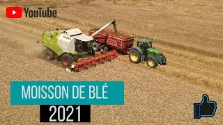 Moisson de blé 2021