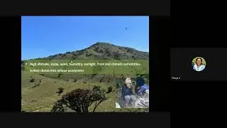 an introduction to shola forests