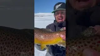 Prettiest FISH of day! #fishing #fish #trout #troutfishing #icefishing #bigtrout #wintersport