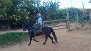 QUITUMBA - Her&oacute;i - MARCHADOR