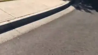 FedEx driver runs from the scene