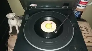 MANUEL  GADINO (PER&Uacute;)  -  LOCA   /  PROVINCIANA  (Vinilo) Bolero 