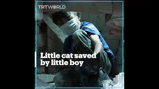 Turkish fire and rescue team saves cat that fell into a well
